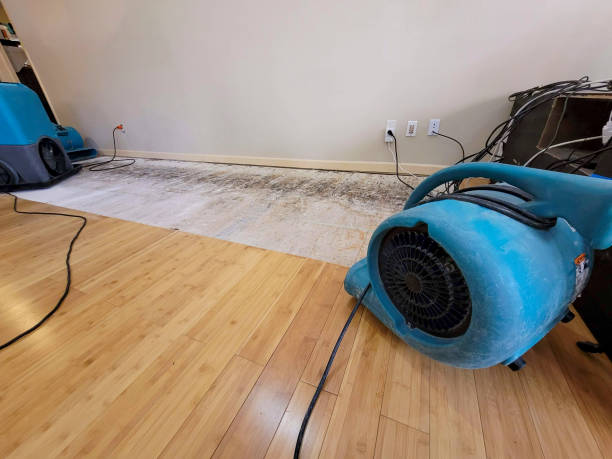 Professional Water Damage Repair technician working in Waco, TX